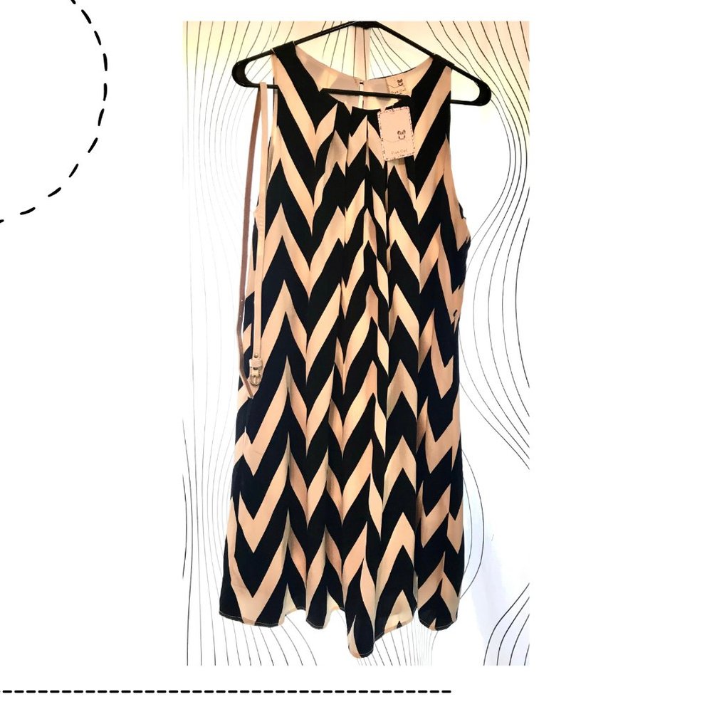 Modcloth by Pink Owl Chevron Shiftdress